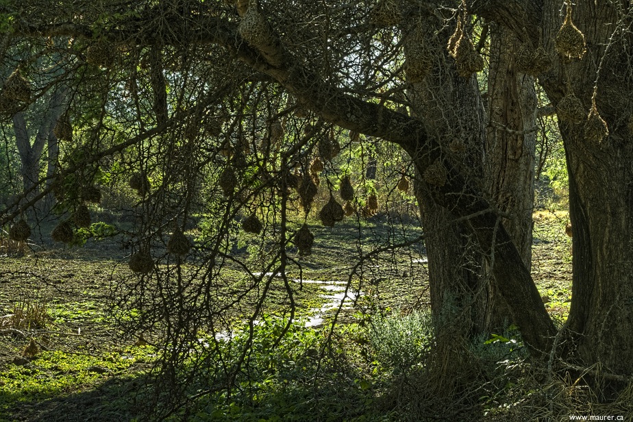 SDIM5030 1 2*