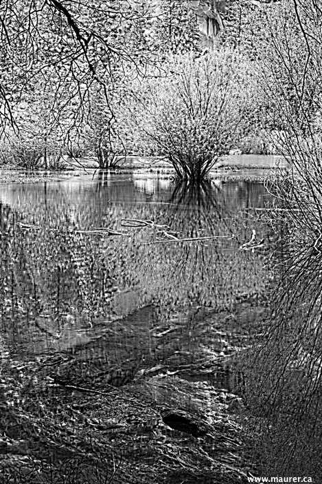 IMG05263* Mirror Lake B&W DoNotMask