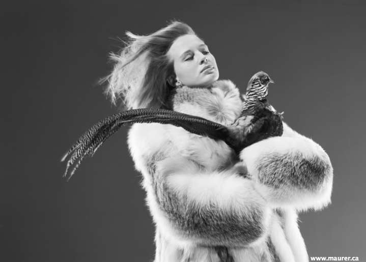 Fur & Bird