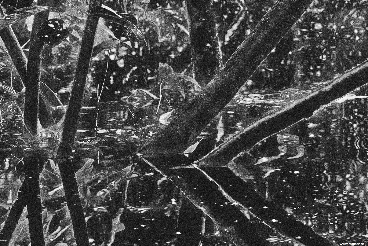 BXT0385 B&W*